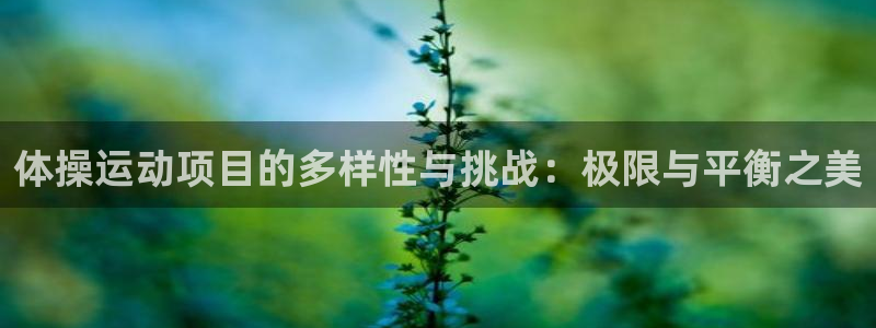 球客岛：体操运动项目的多样性与挑战：极限与平衡之美