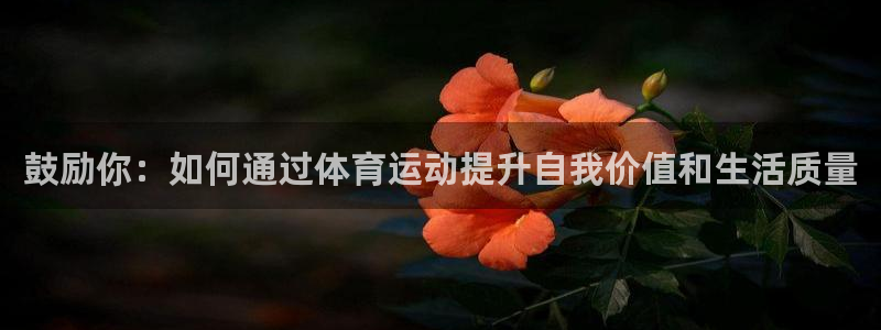 球客岛
