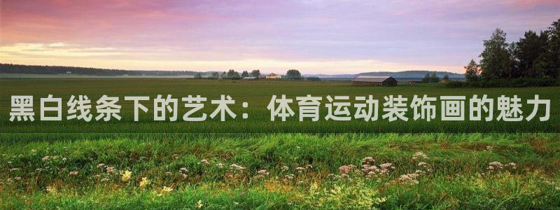 球客岛：黑白线条下的艺术：体育运动装饰画的魅力
