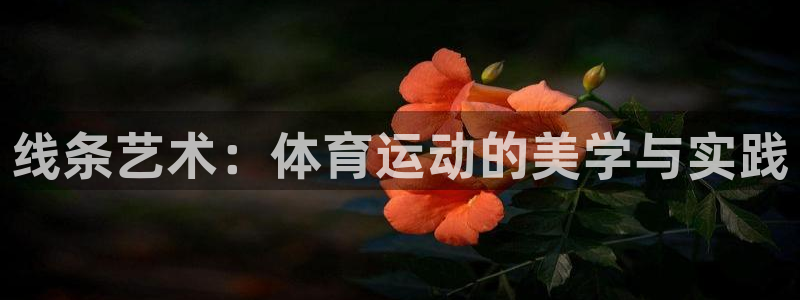 球客岛：线条艺术：体育运动的美学与实践