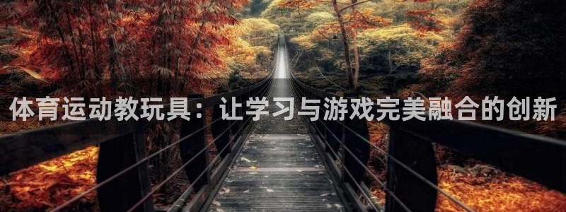 球客岛：体育运动教玩具：让学习与游戏完美融合的创新