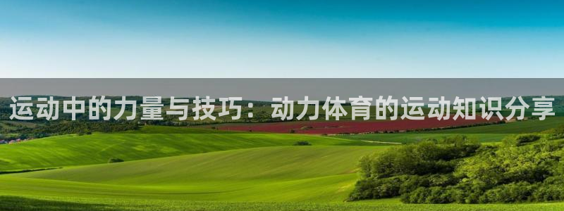球客岛：运动中的力量与技巧：动力体育的运动知识分享