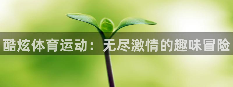 球客岛：酷炫体育运动：无尽激情的趣味冒险