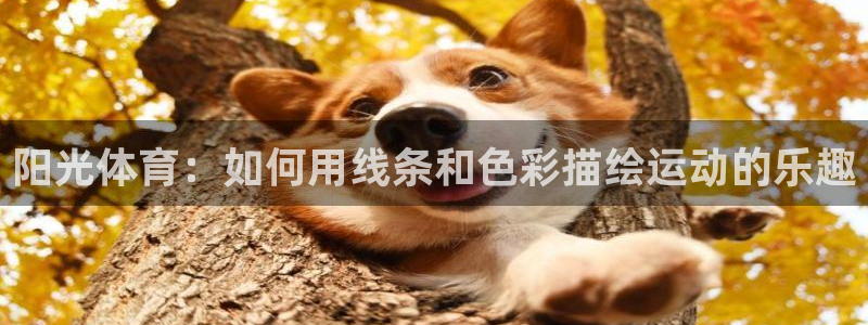 球客岛：阳光体育：如何用线条和色彩描绘运动的乐趣