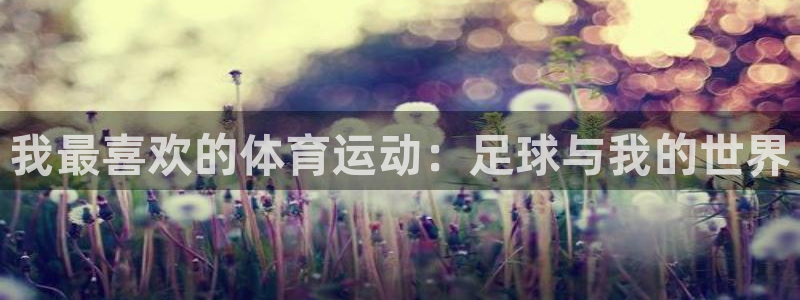 球客岛