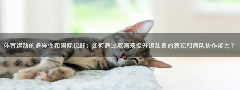 球客岛