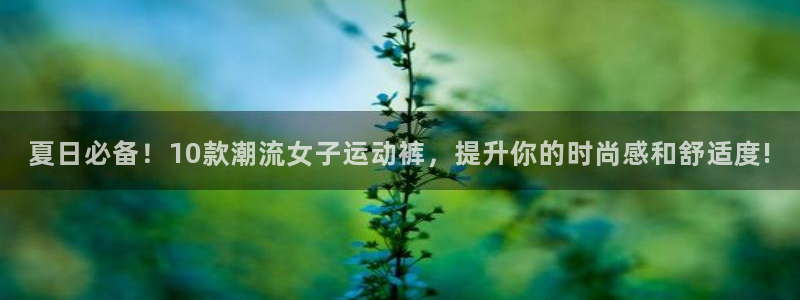 球客岛