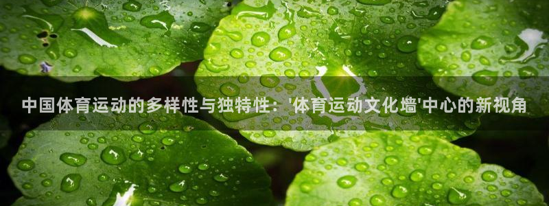 球客岛