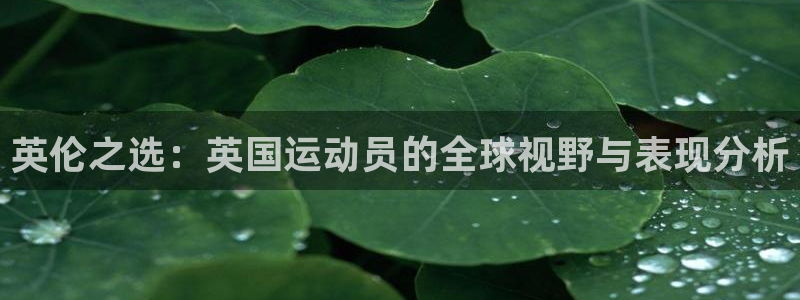 球客岛：英伦之选：英国运动员的全球视野与表现分析