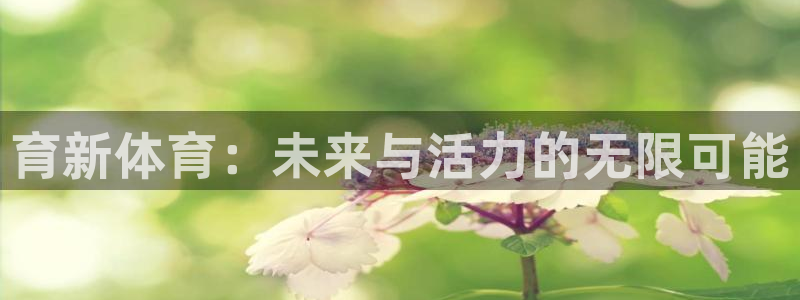 球客岛：育新体育：未来与活力的无限可能