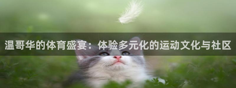球客岛：温哥华的体育盛宴：体验多元化的运动文化与社区