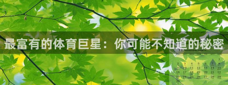 球客岛：最富有的体育巨星：你可能不知道的秘密